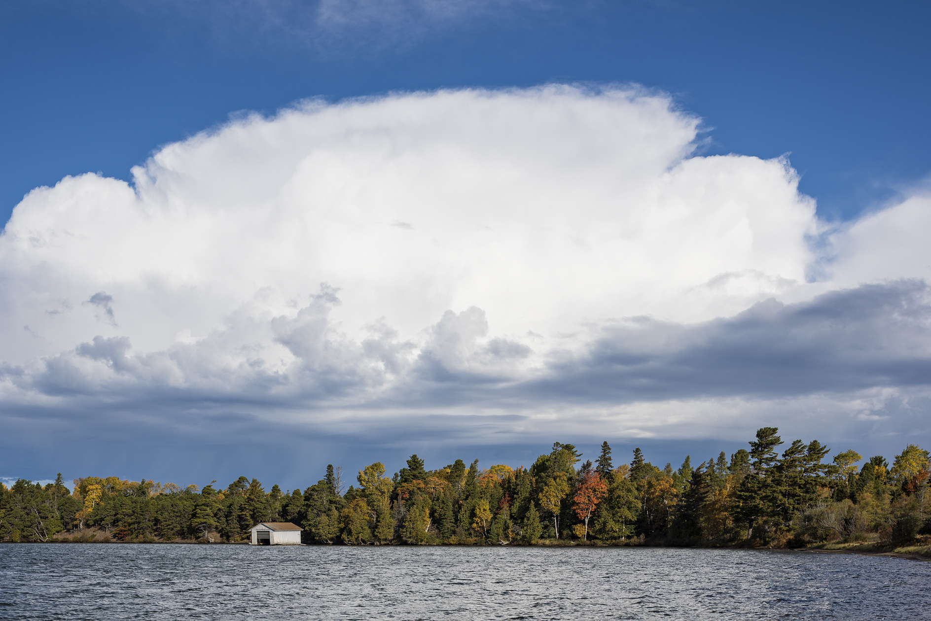 Boat Shed Morning II