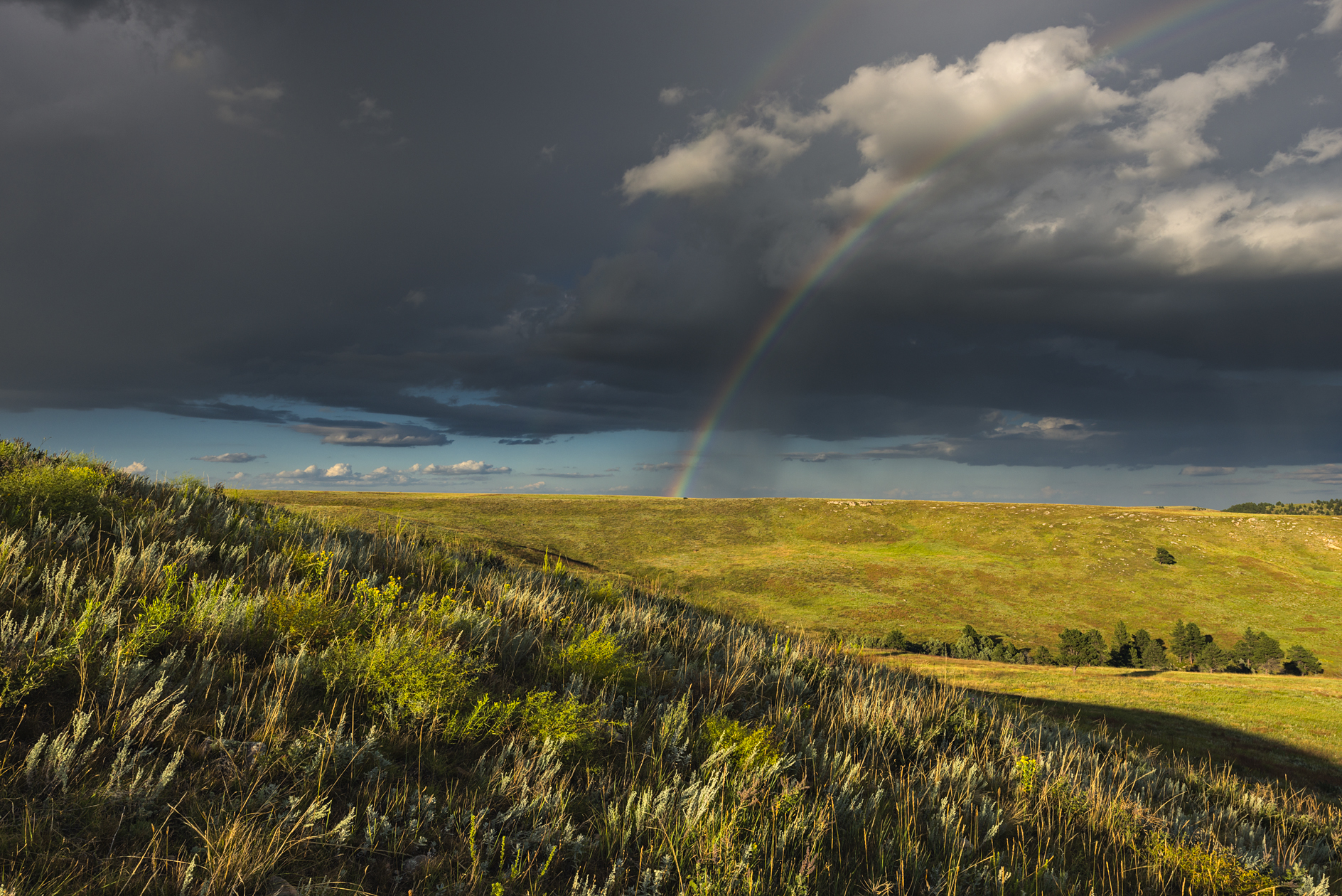 Boland Ridge Evening
