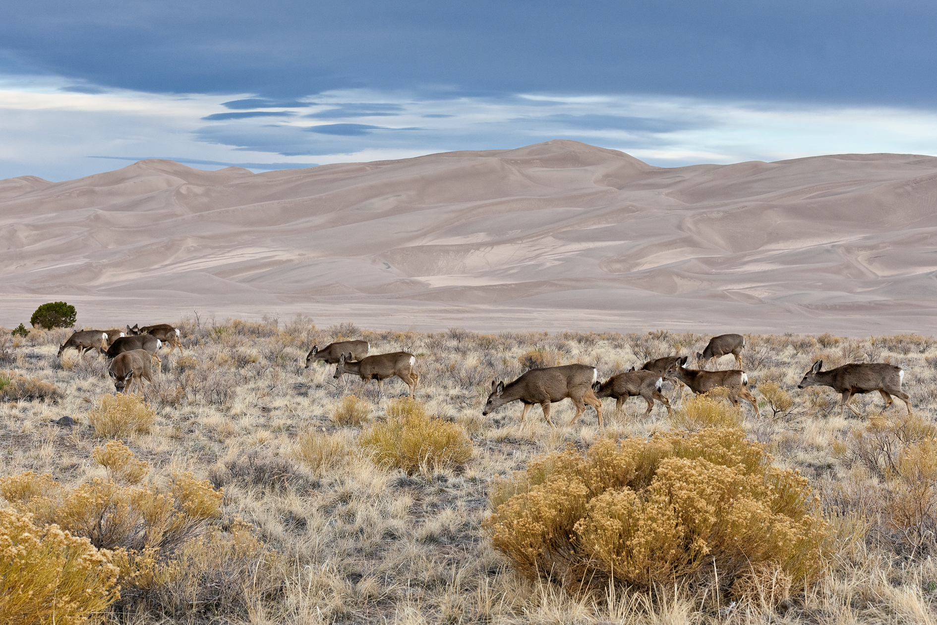 Breakfast at Tiffanys