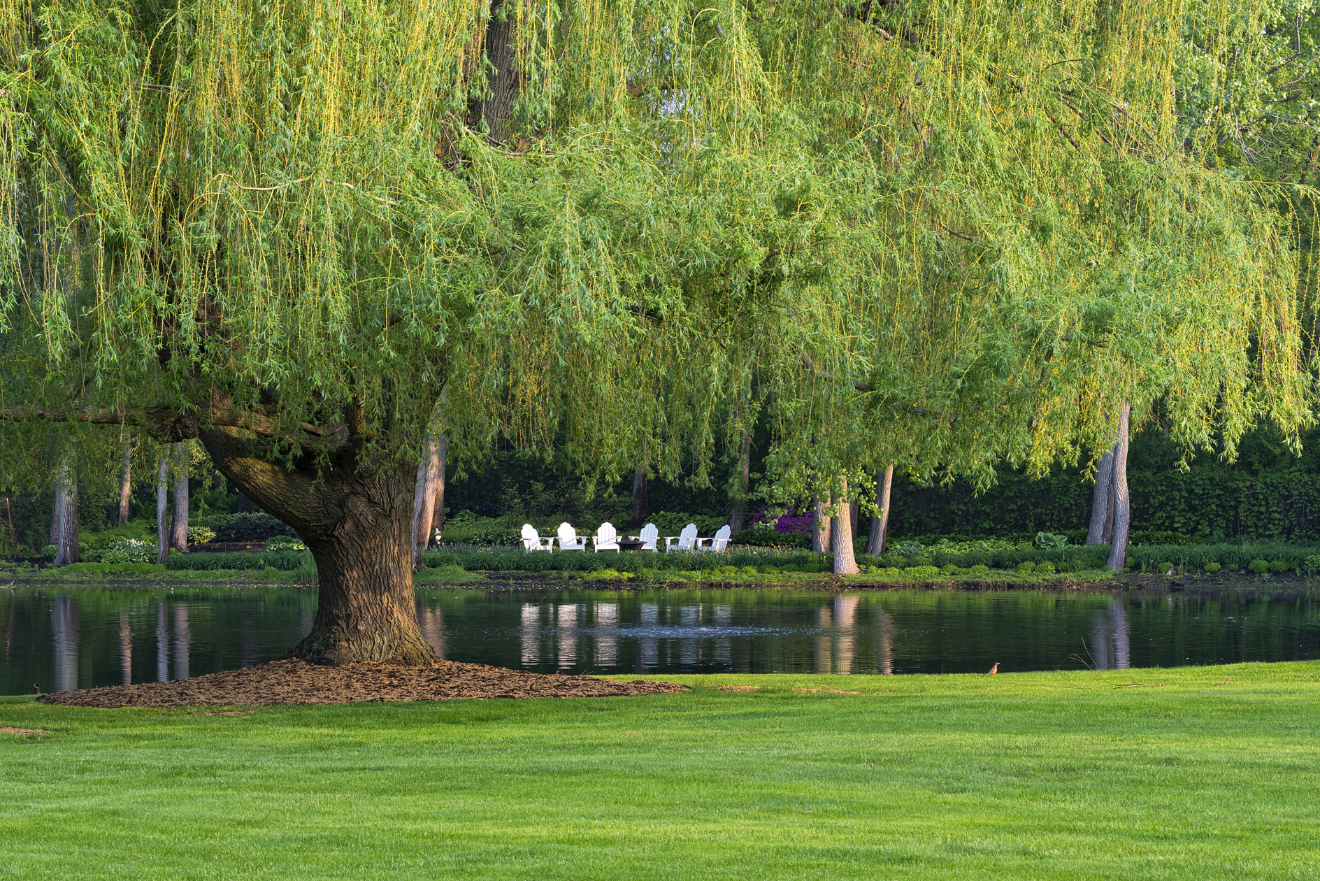 Breakfast by the Pond