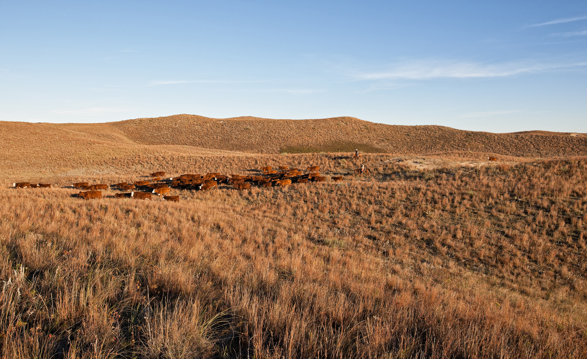 Brown Out on the Range