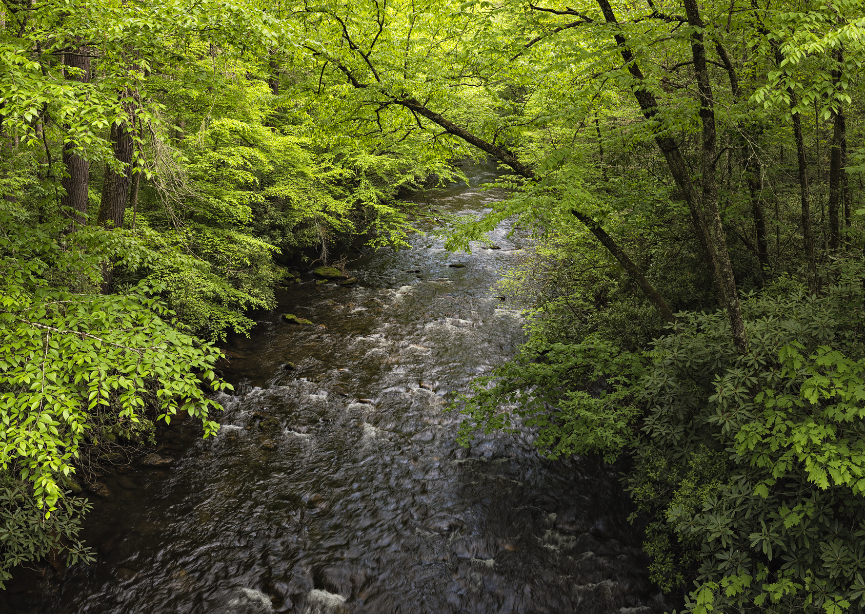 Bubbling Down the Mountain