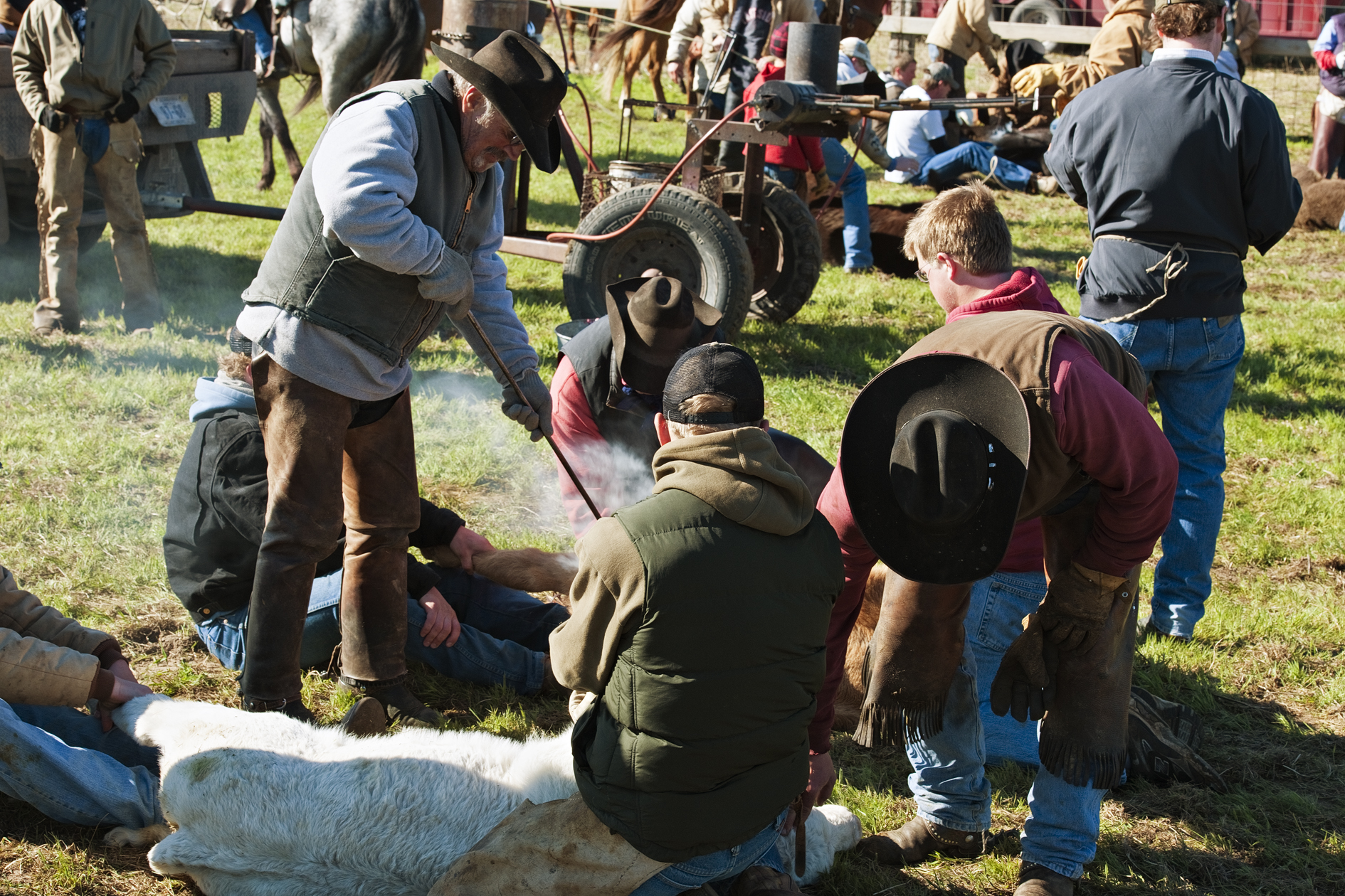 Bunch of Cowpunchers