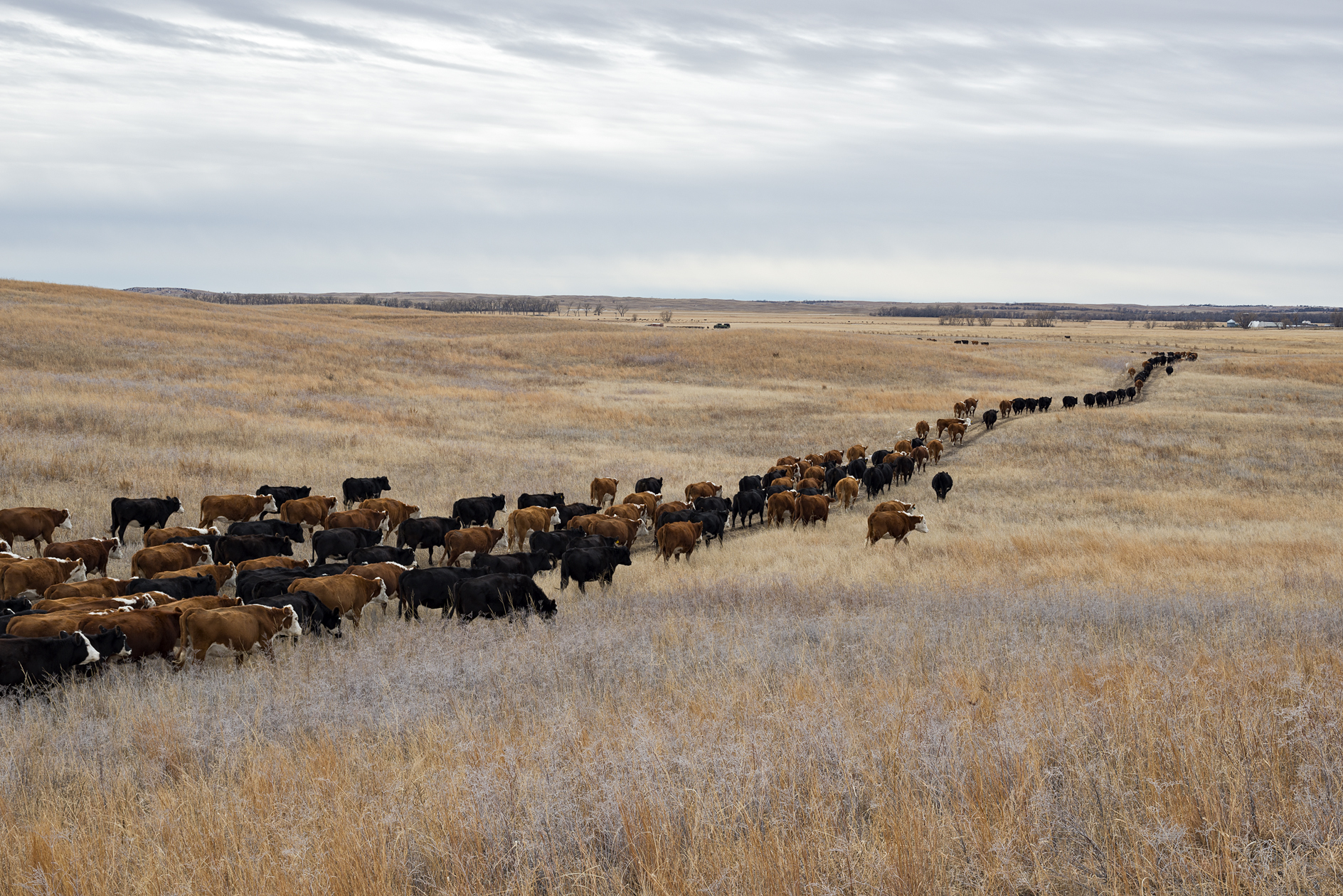 Bunched Up at the End