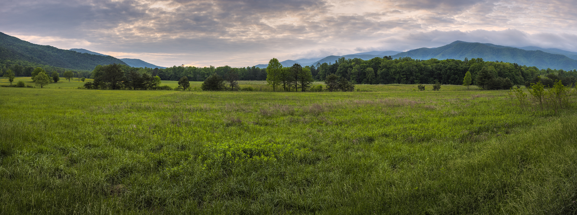 Cades Cove Vista