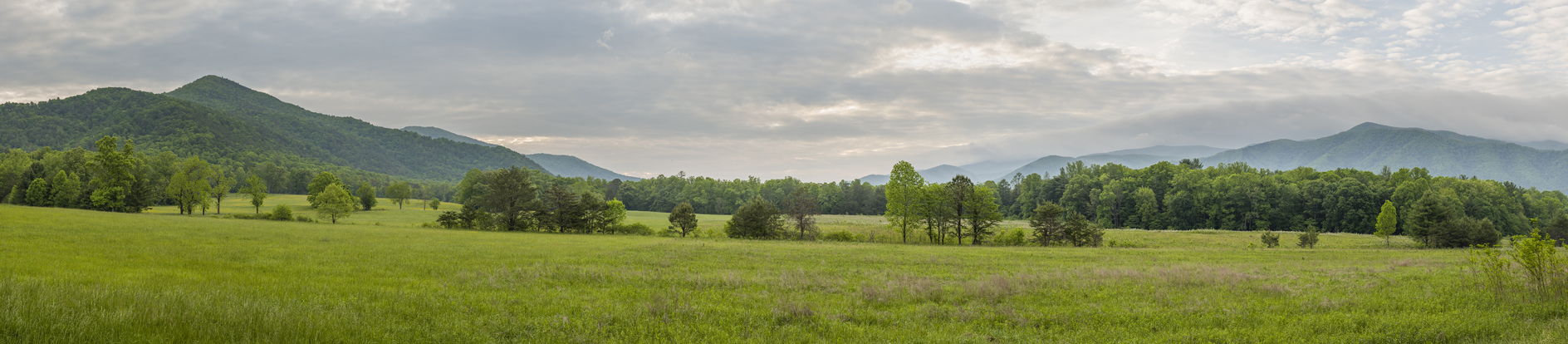 Cades Cove Vista II