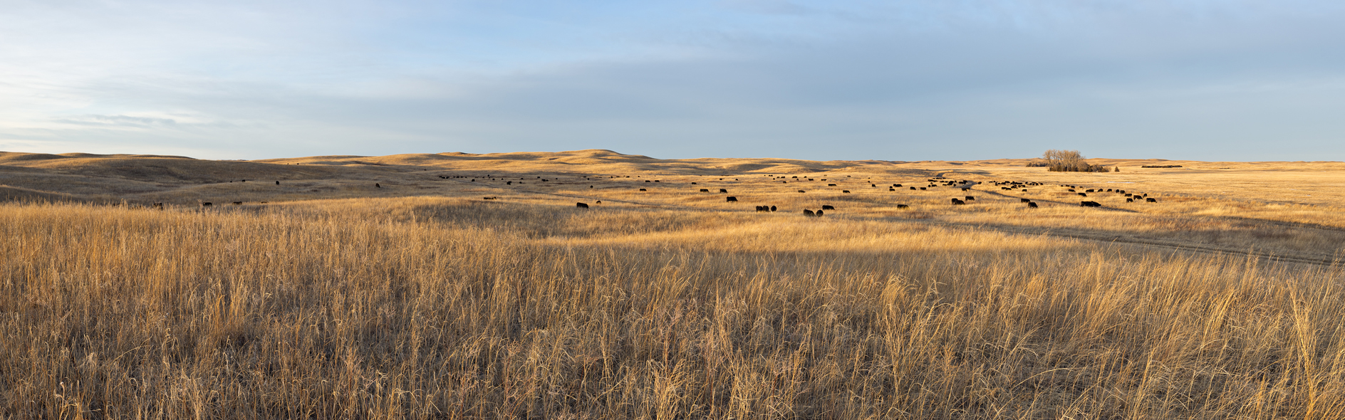 Calendar Contradiction