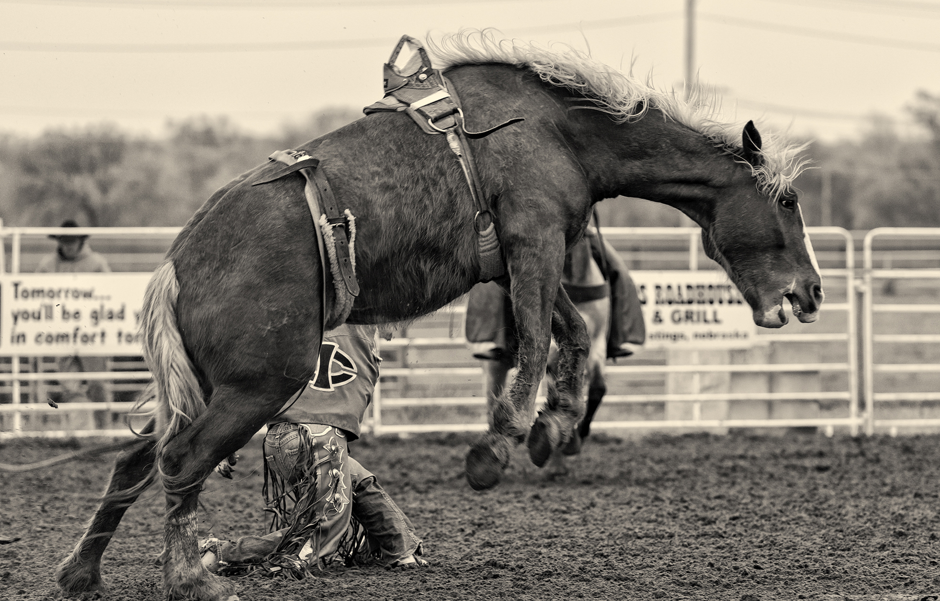 Came Down with Broncitis