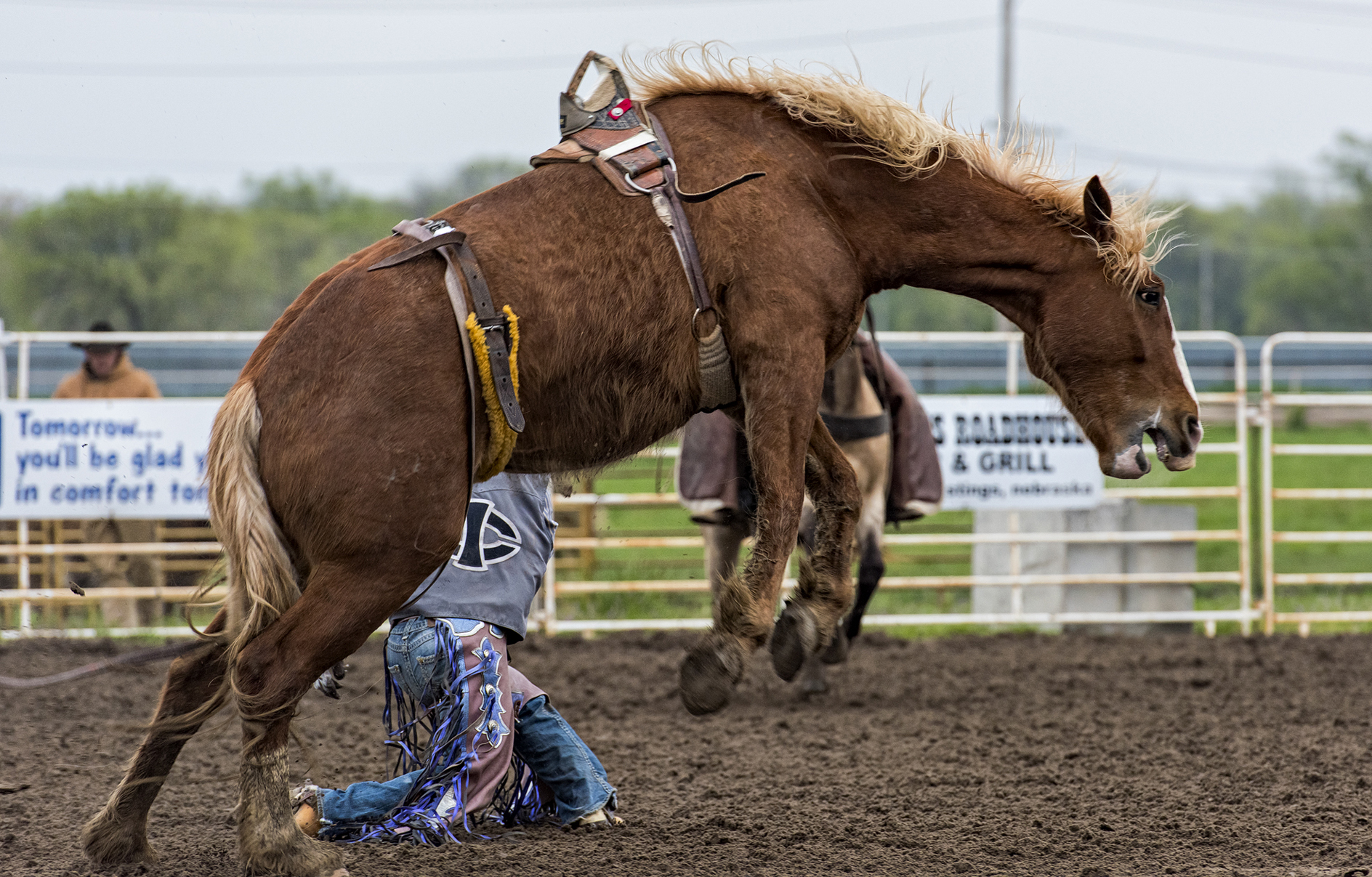 Came Down with Broncitis II