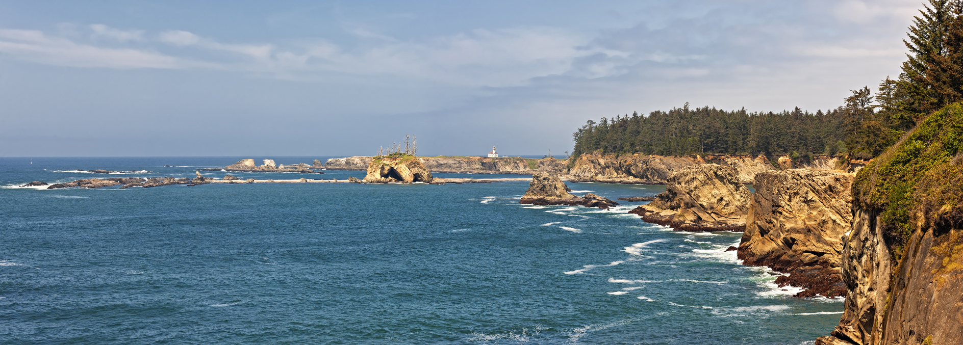 Cape Arago