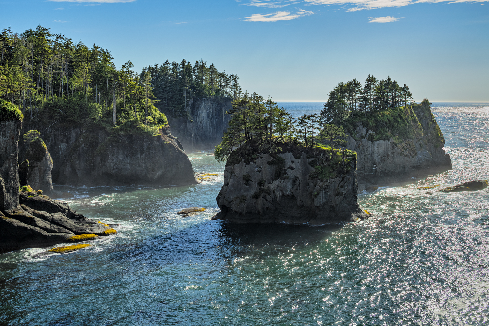 Cape Flattery Evening III