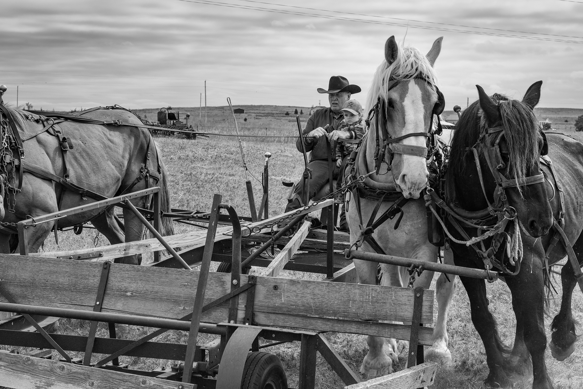 Cart Before the Horses