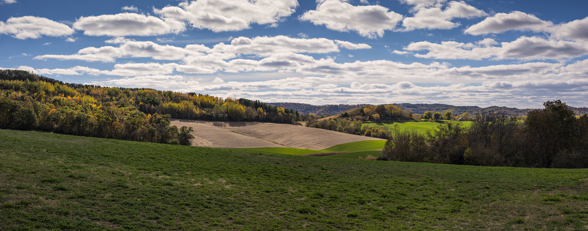 Carving Out a Living