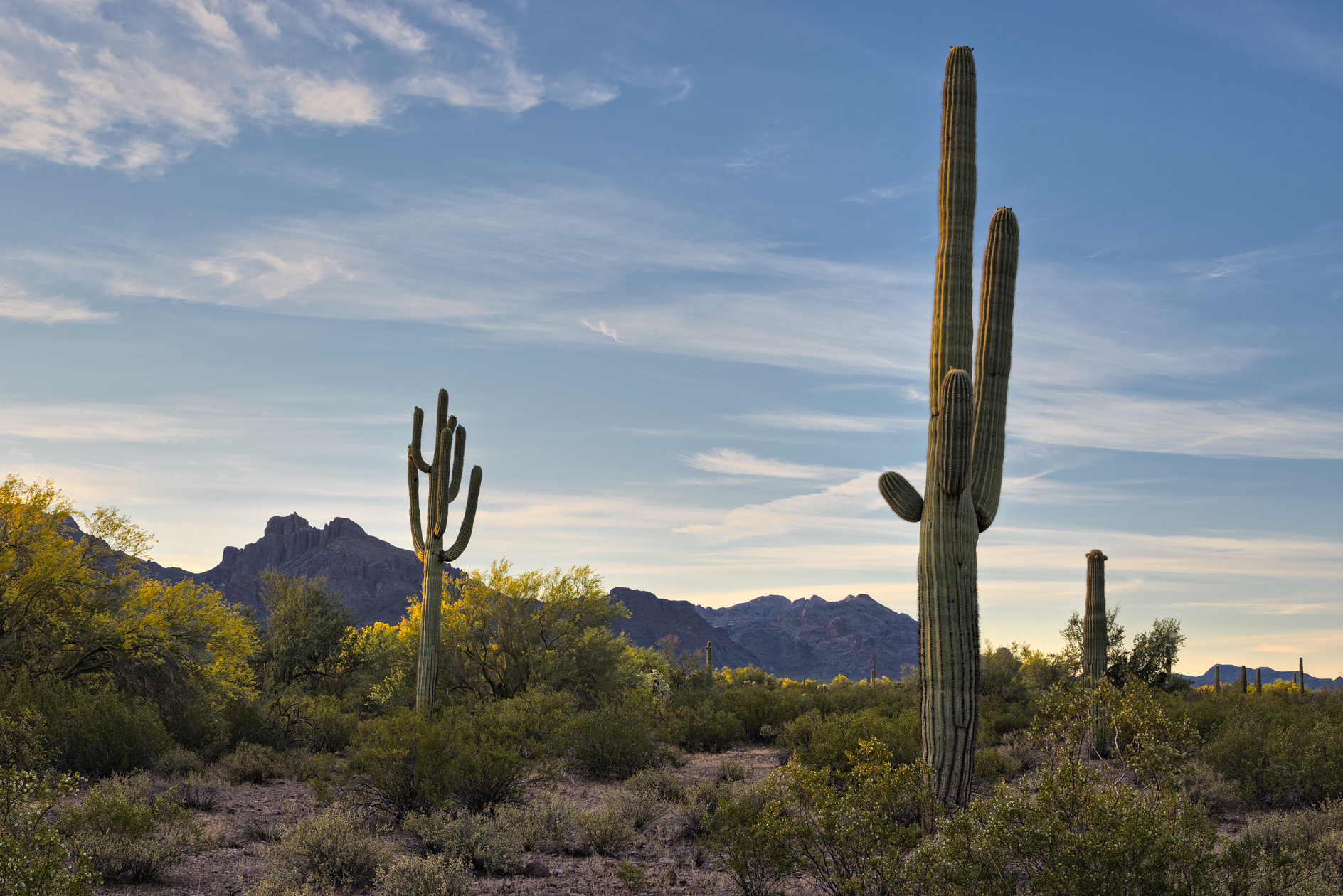 Catching the First Light
