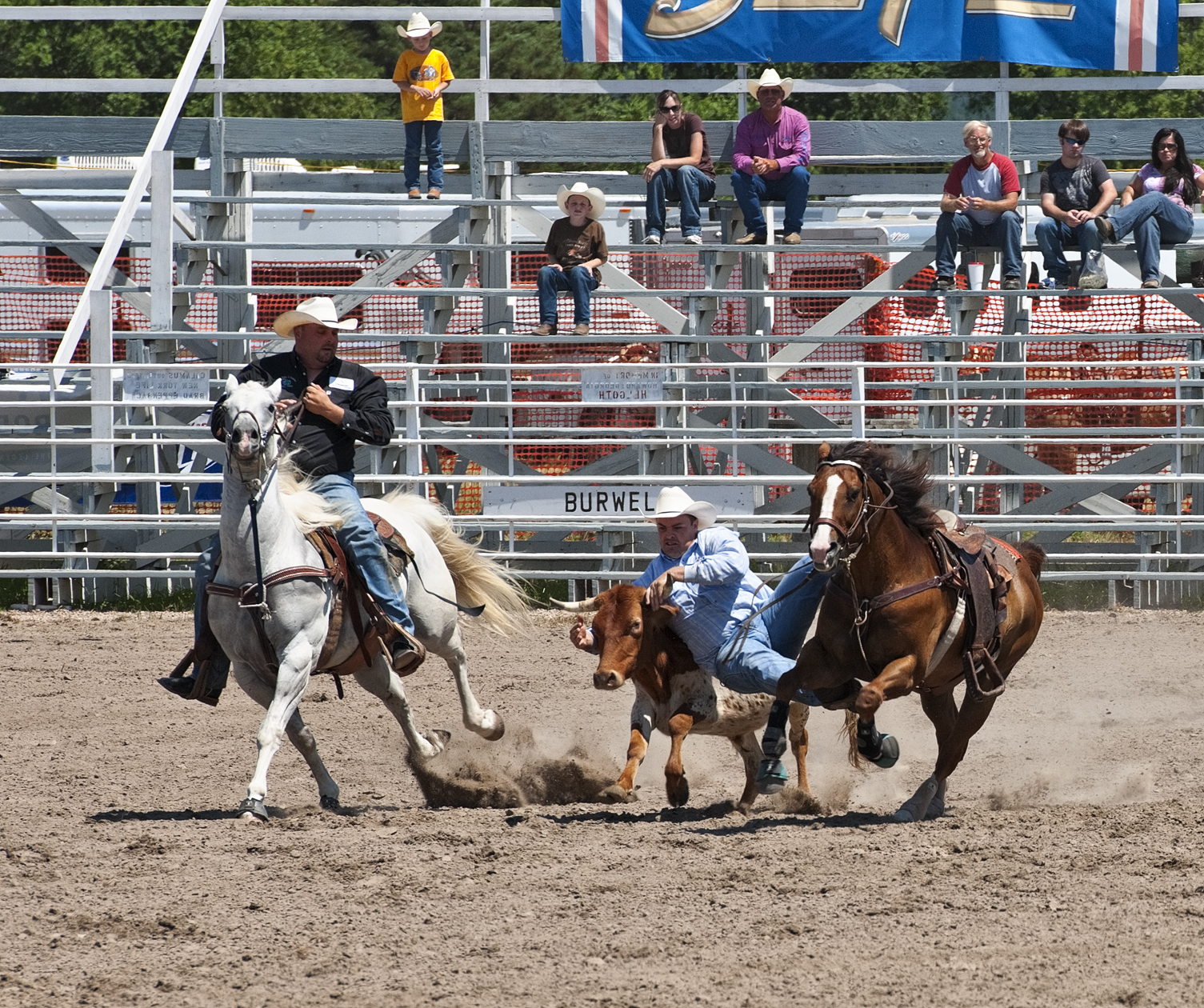 Cavorting with Strangers