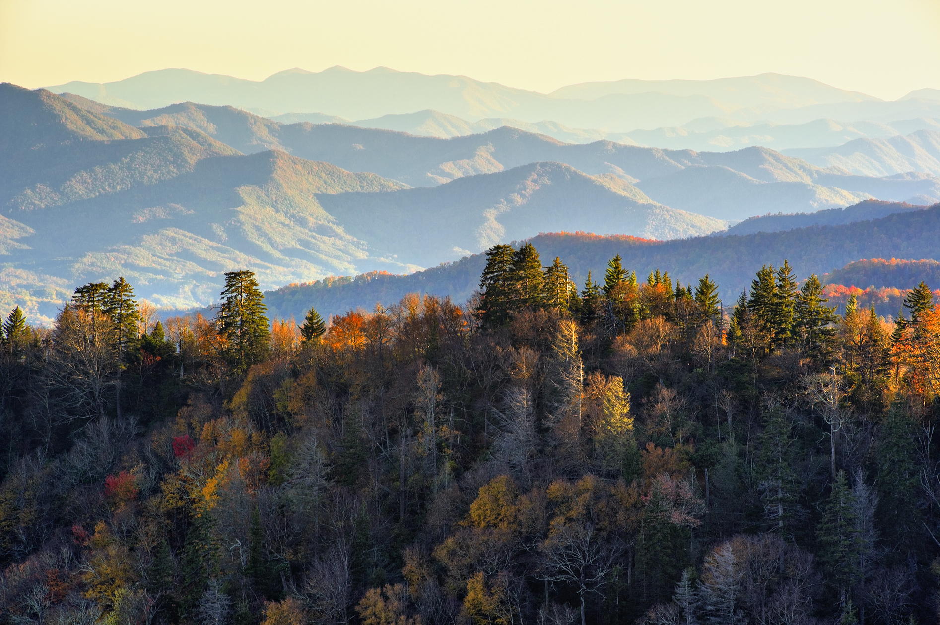 Challenging the Shadows
