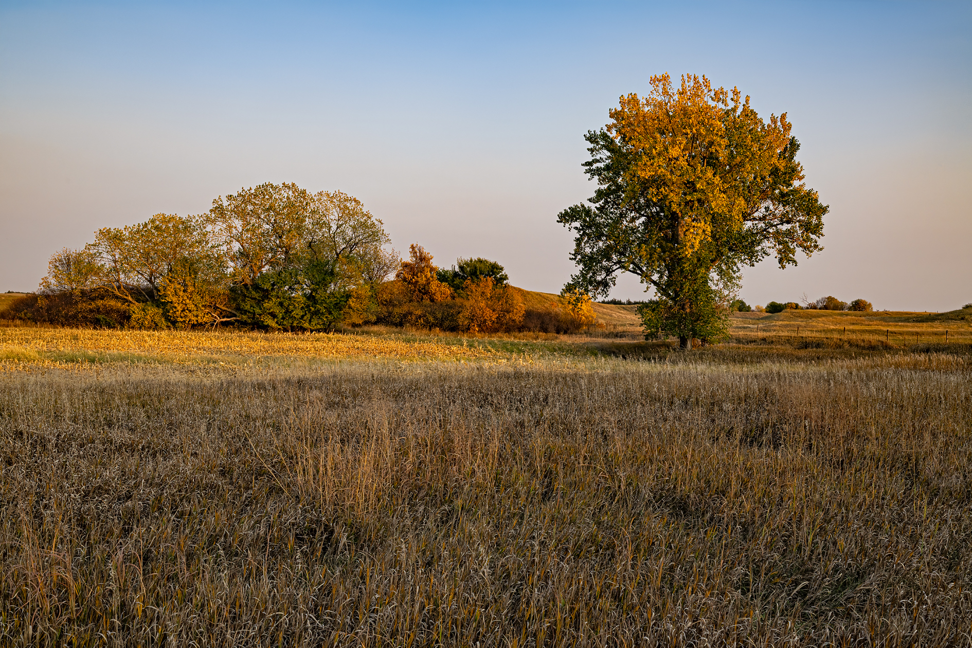 Chase County Autumn II