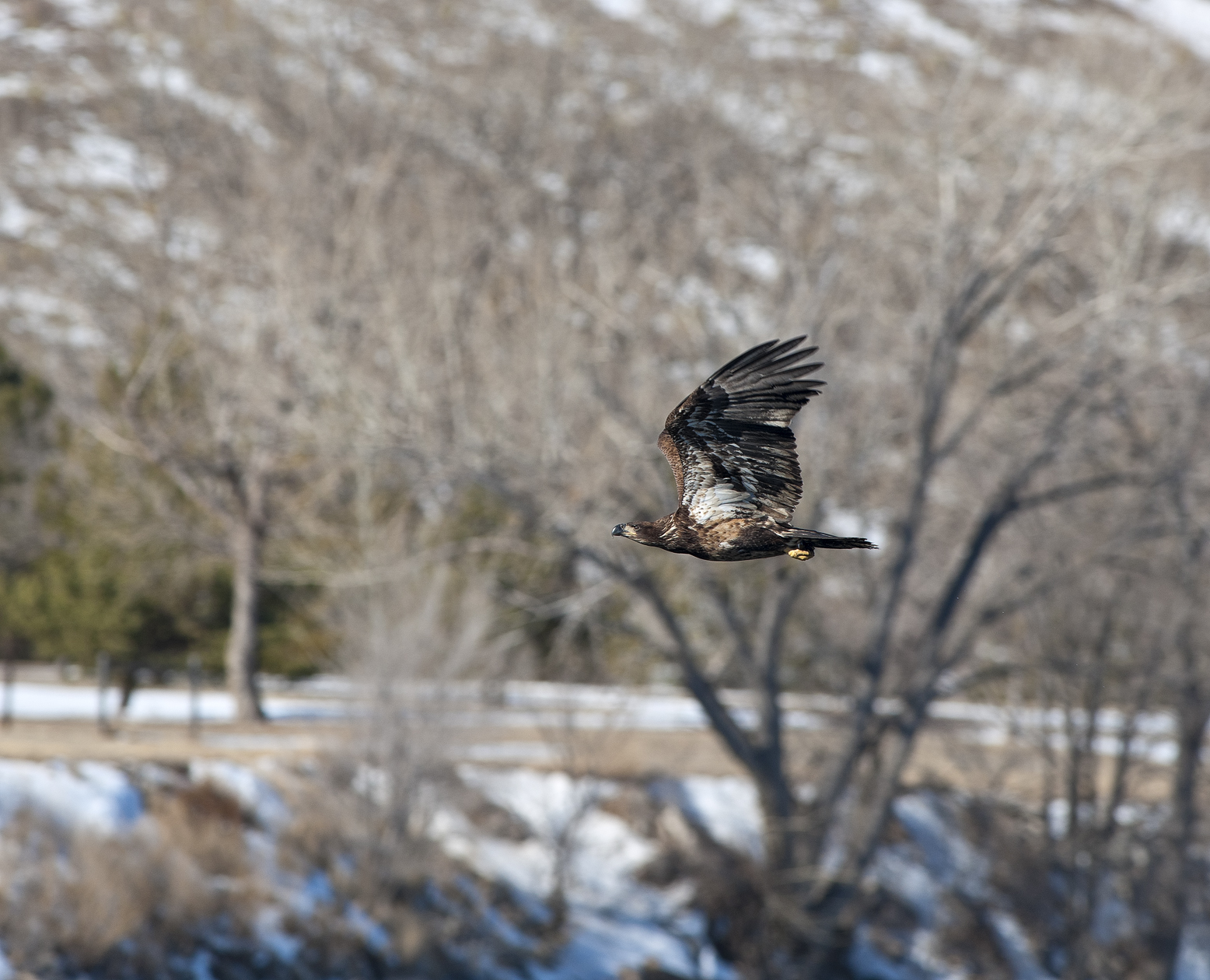 Checking the Perimeter