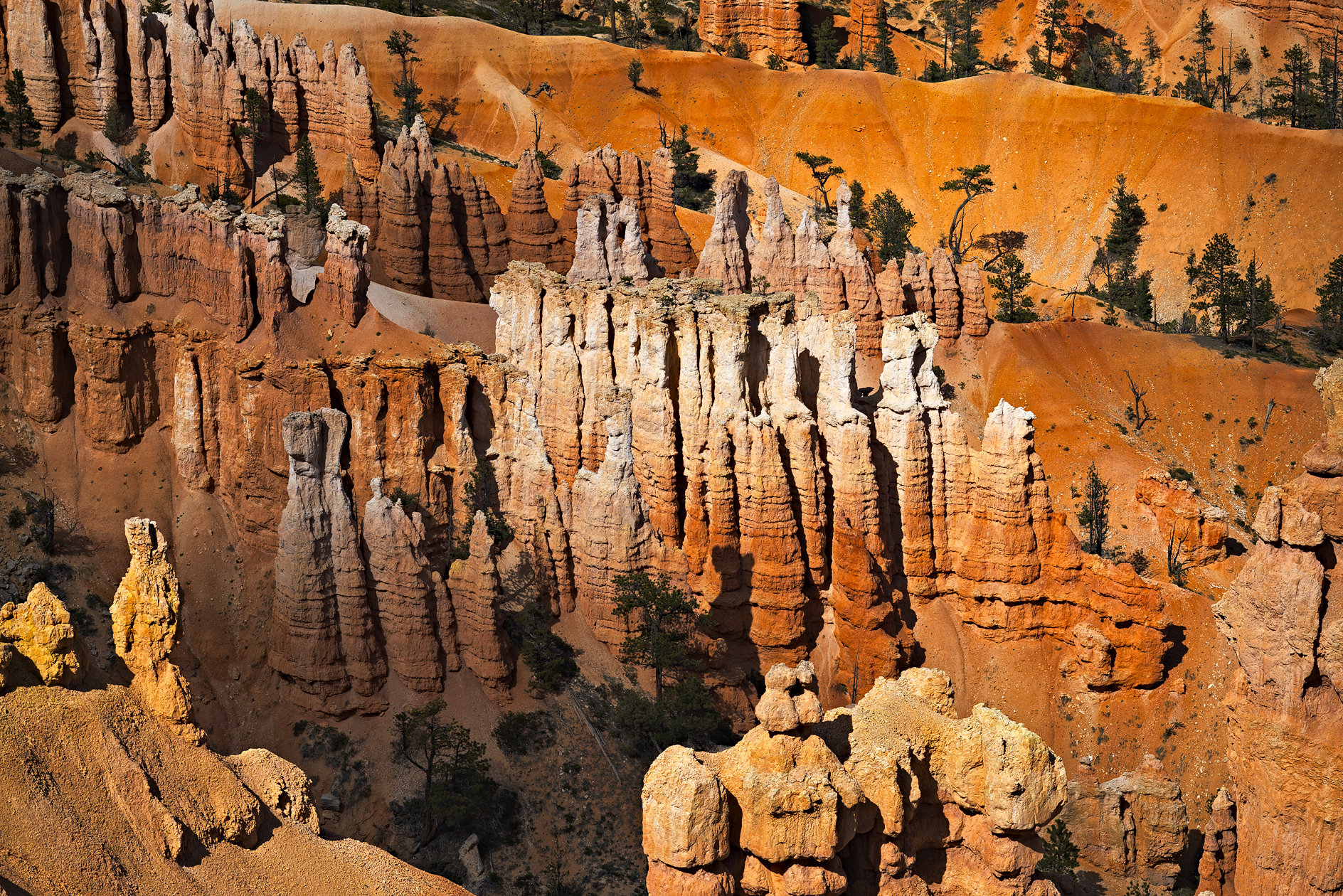 Chorus of the Canyon