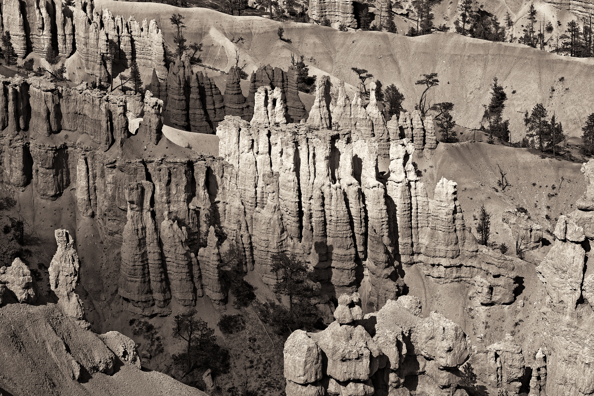 Chorus of the Canyon II