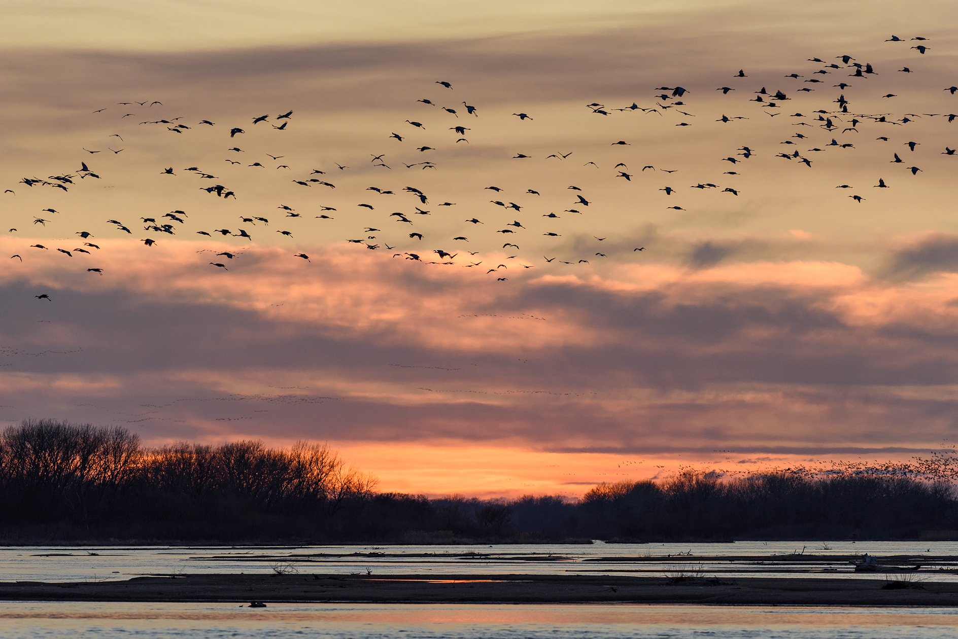 Comming Home to Roost