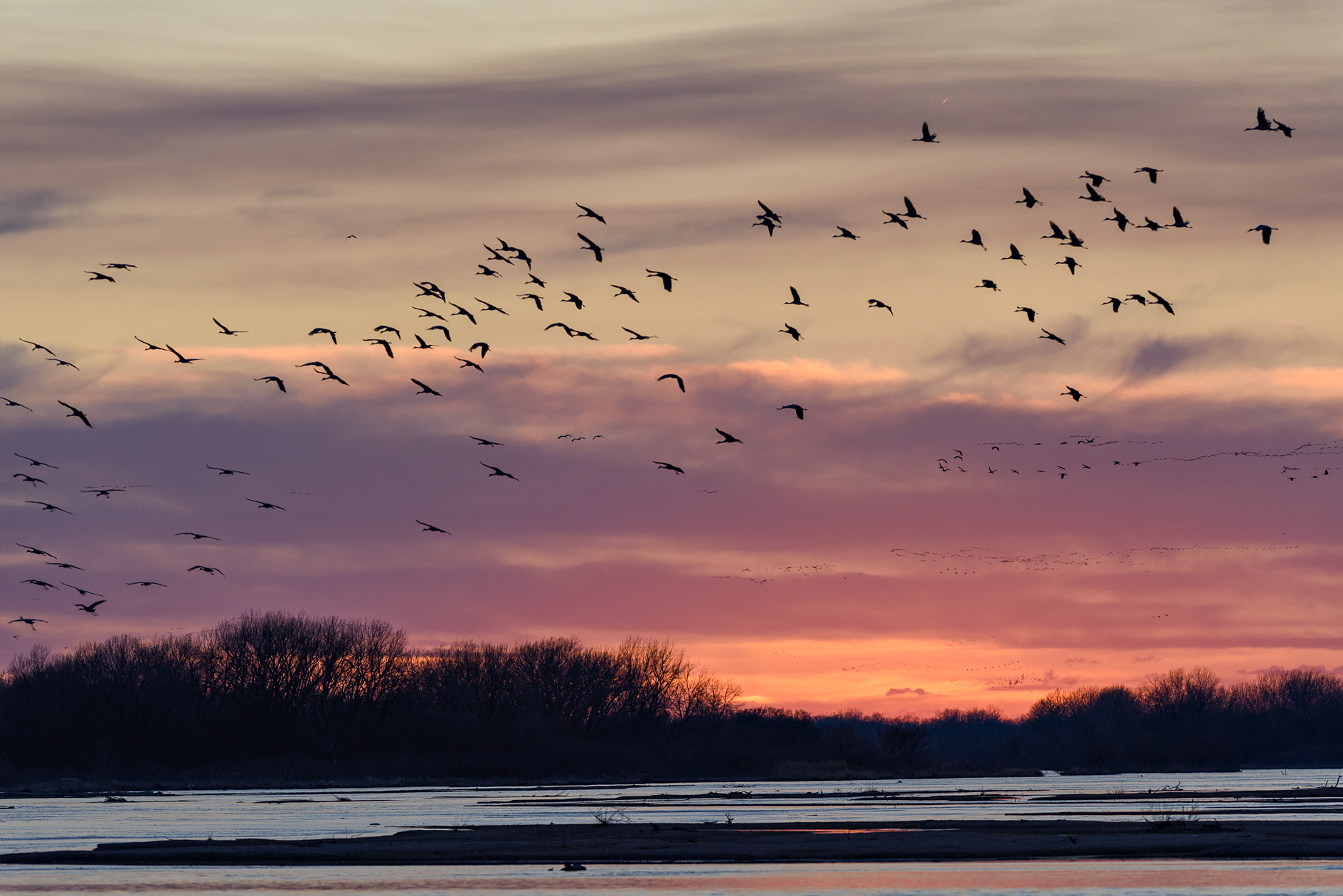 Comming Home to Roost II