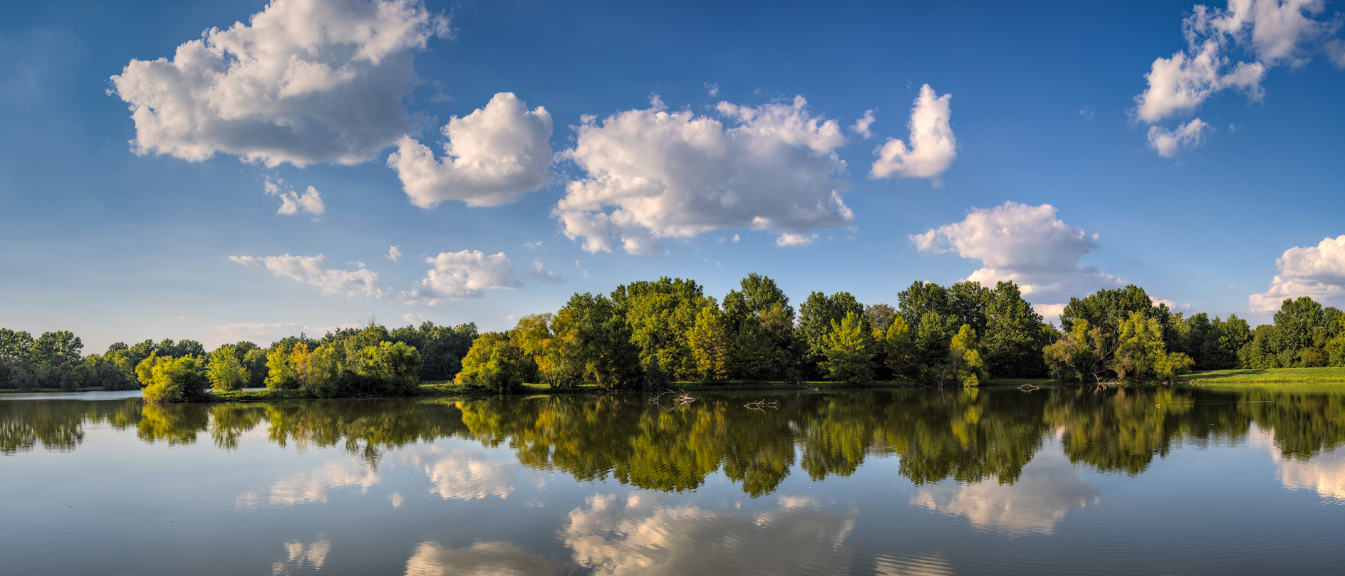 Coot Lake Afternoon