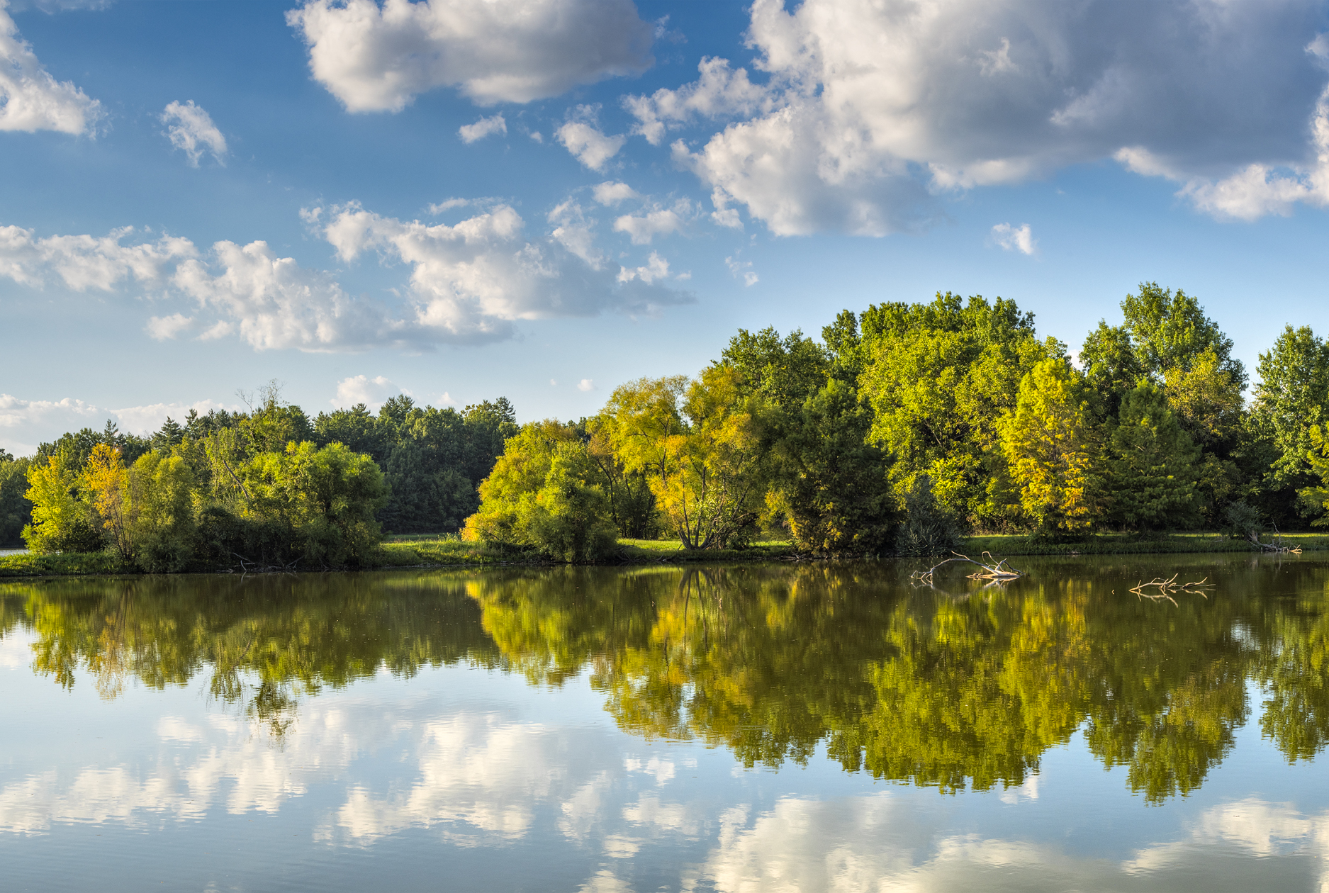 Coot Lake Afternoon III