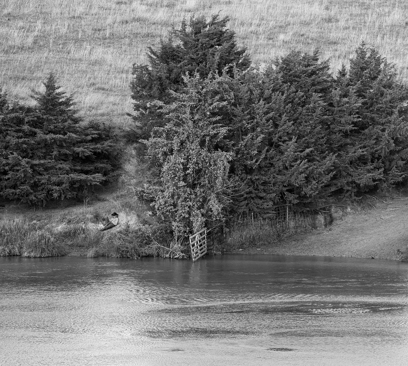 Cowboys Count Sheep Too