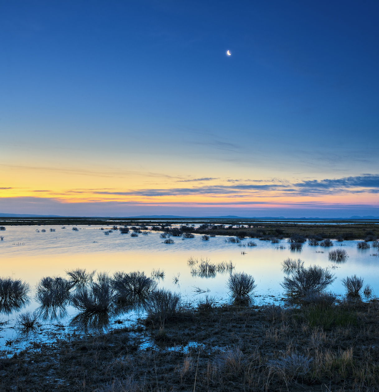 Crescent Moon Morning