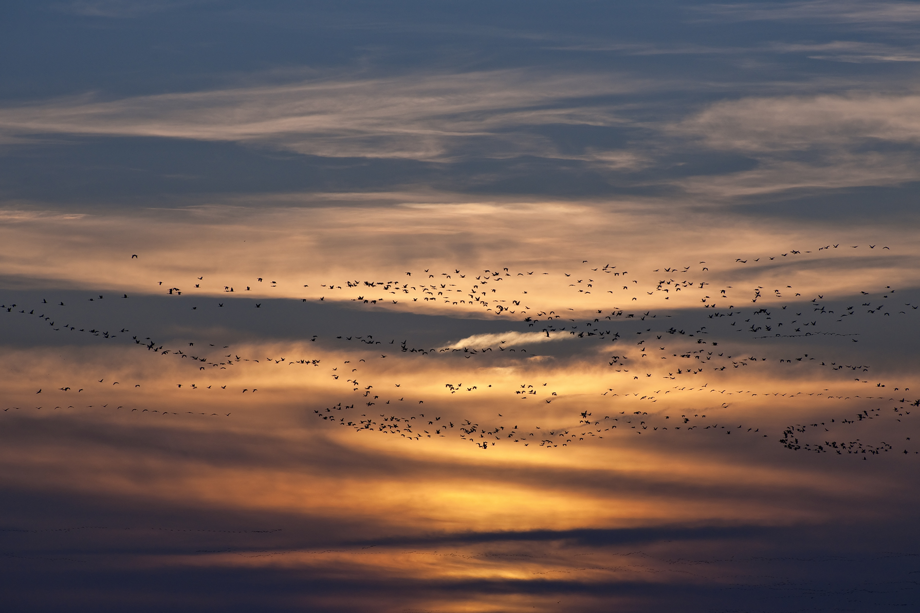 Crossing a Painted Sky