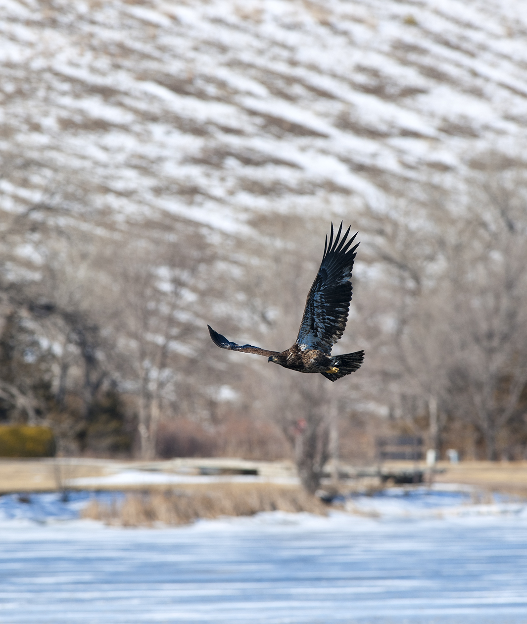 Cruising the Neighborhood