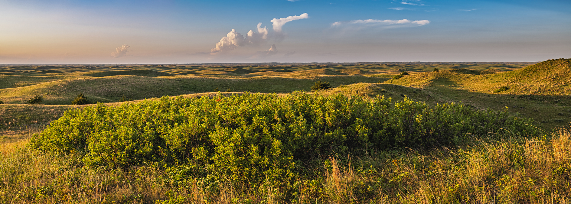 Custer County Evening II
