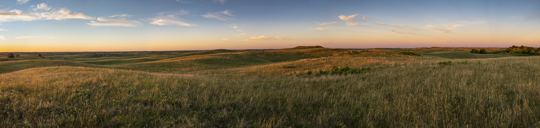 Custer County Evening III