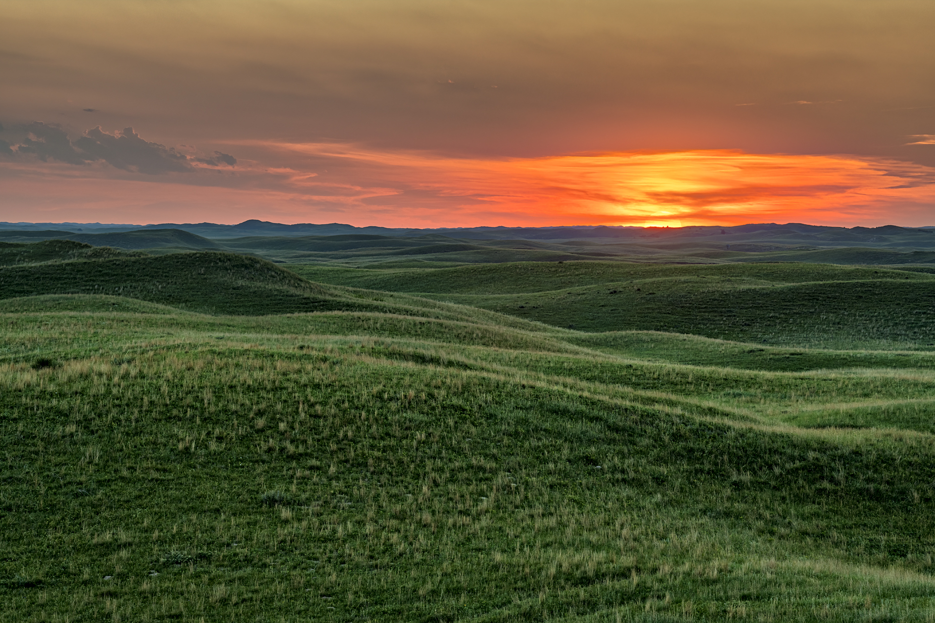 Custer County Morning II
