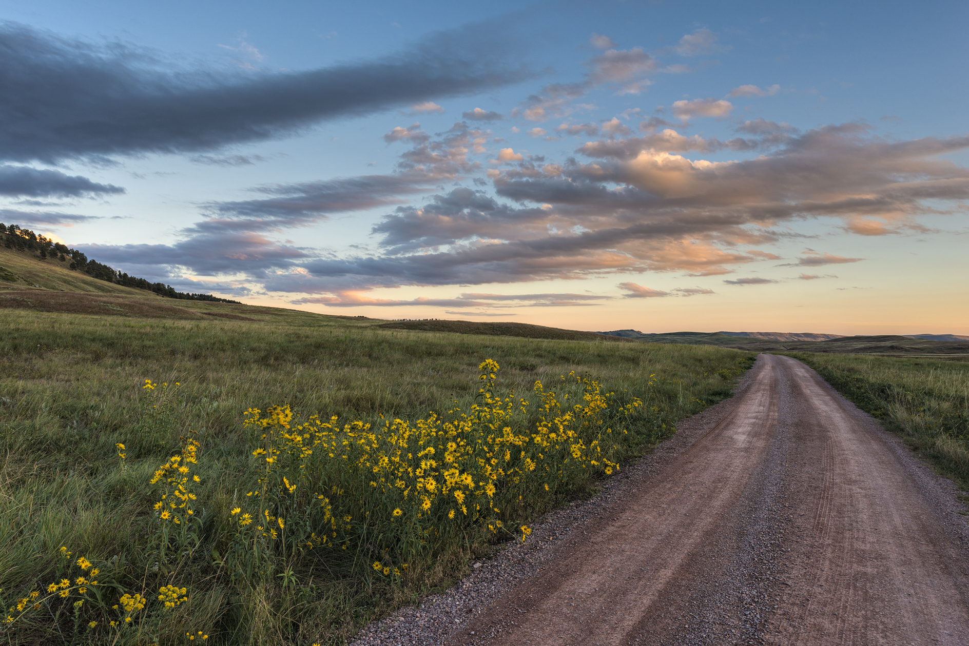 Custer State Park Evening II