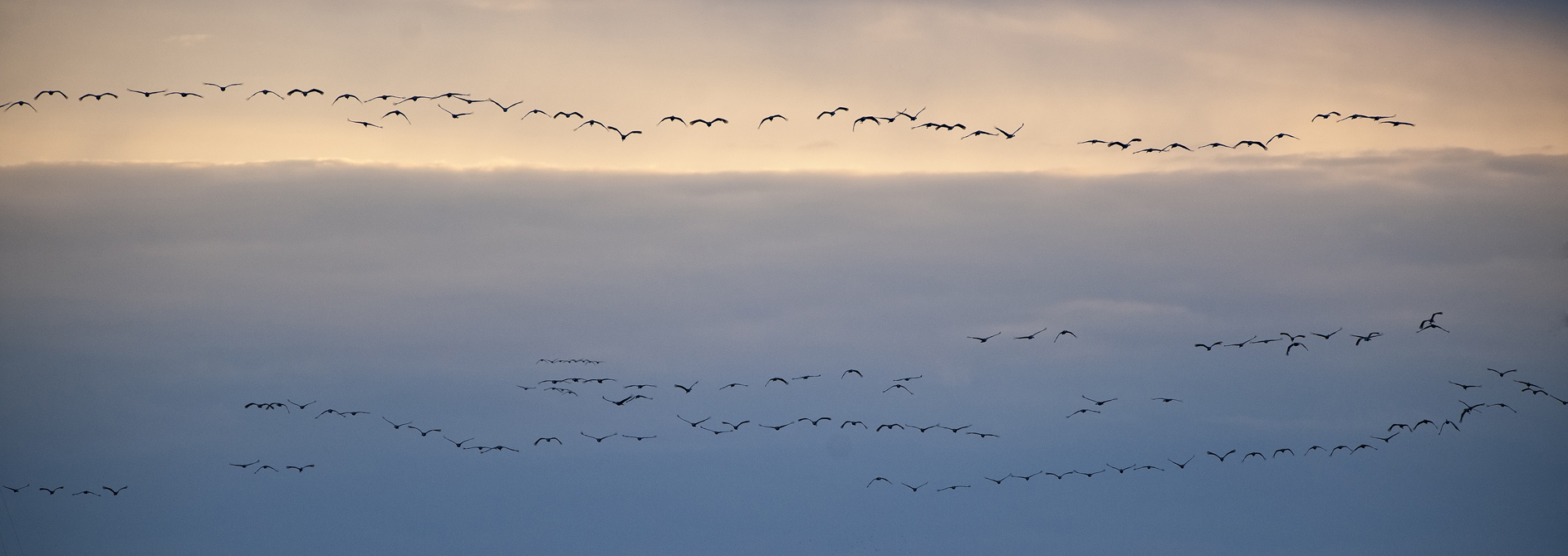Descent into Evening