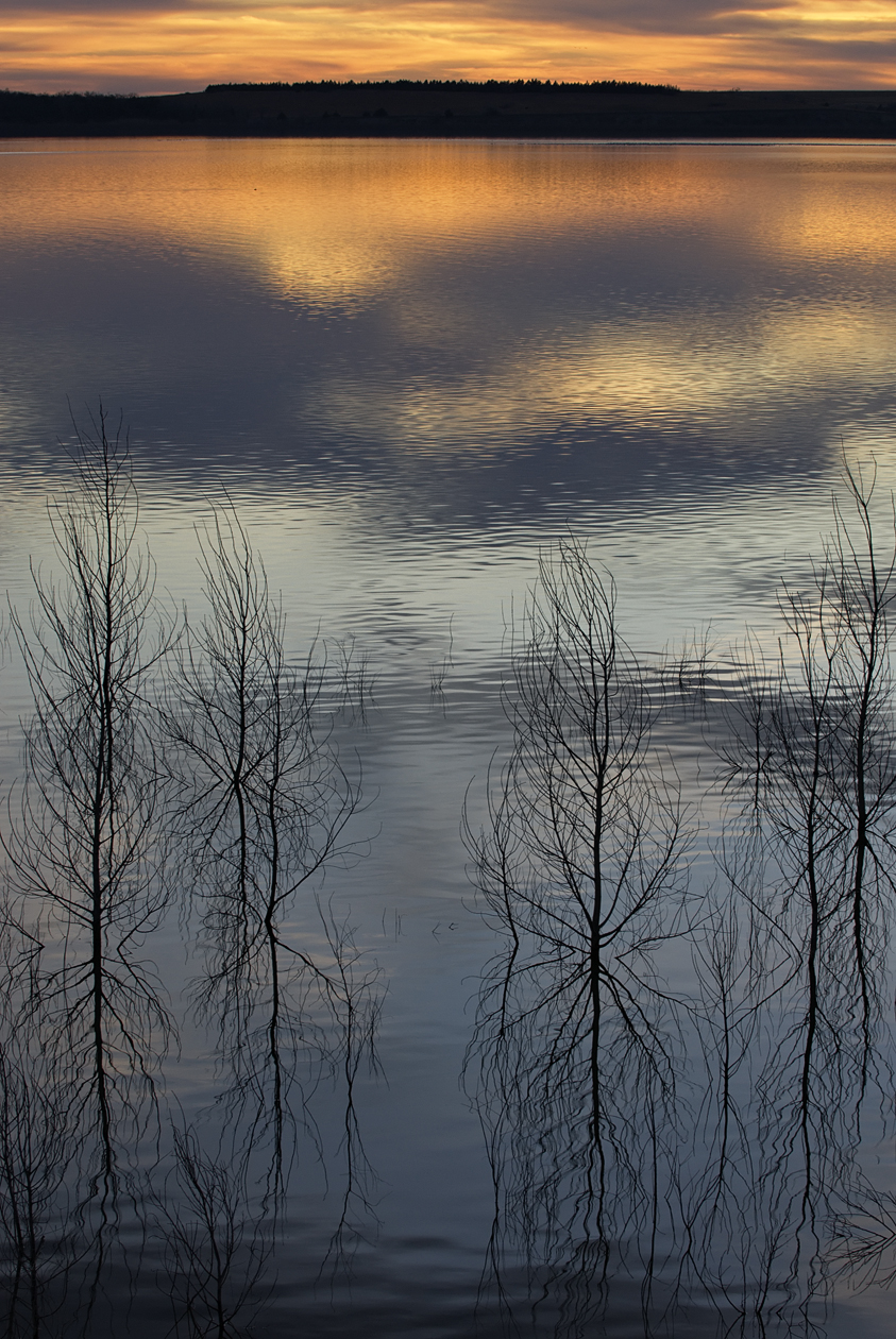 Detailed Instructions