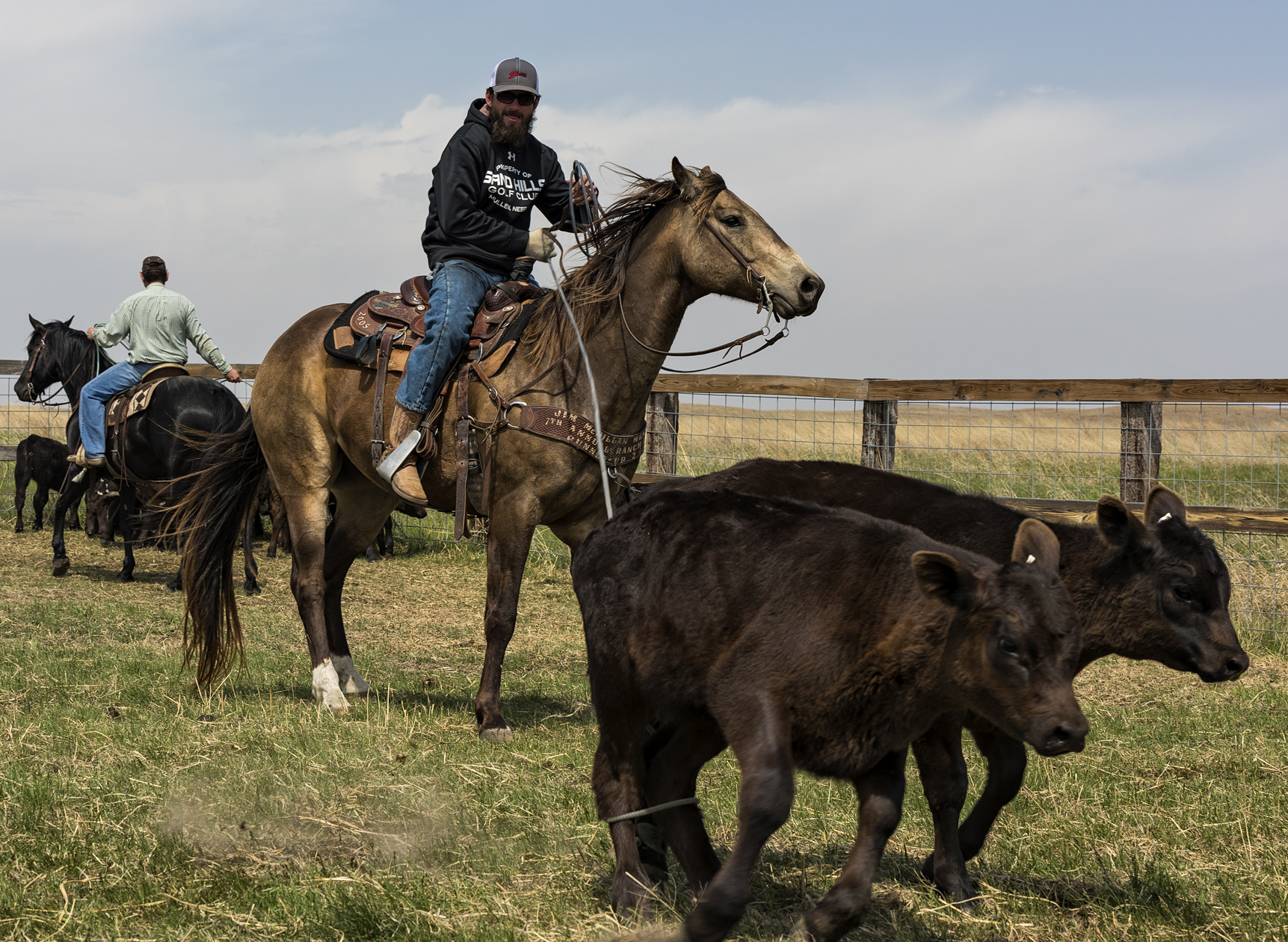 Did a Double Take II