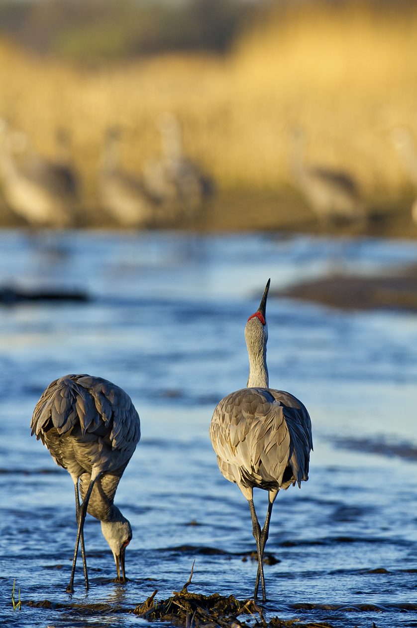 Different Points of View