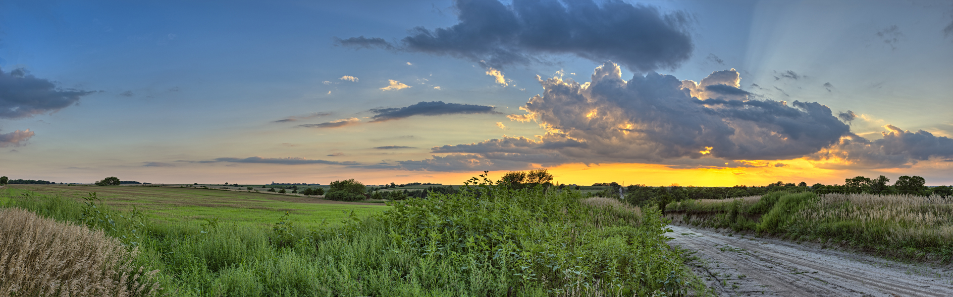 Dirt Road Vista