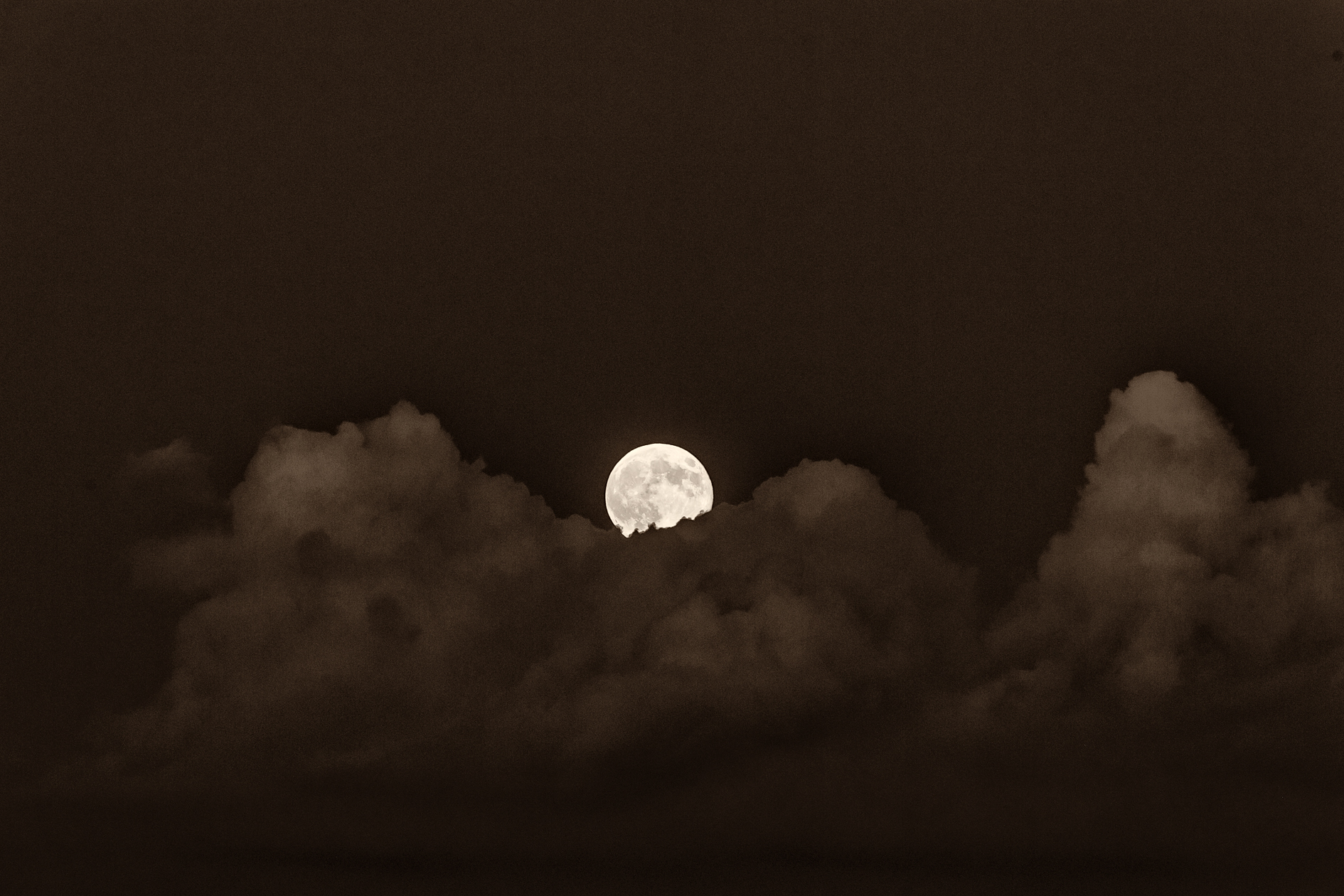 Diva on the Staircase