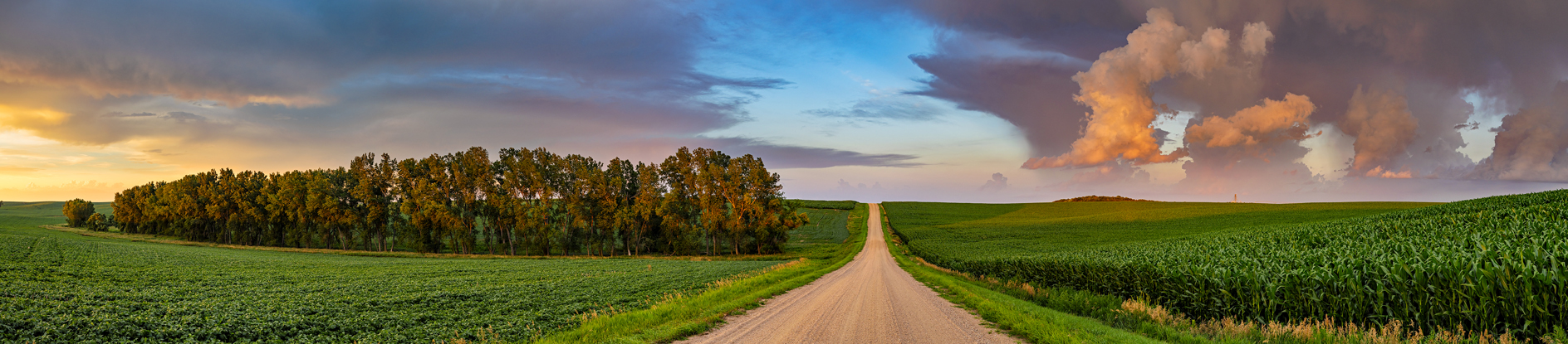 Dixon County Evening II