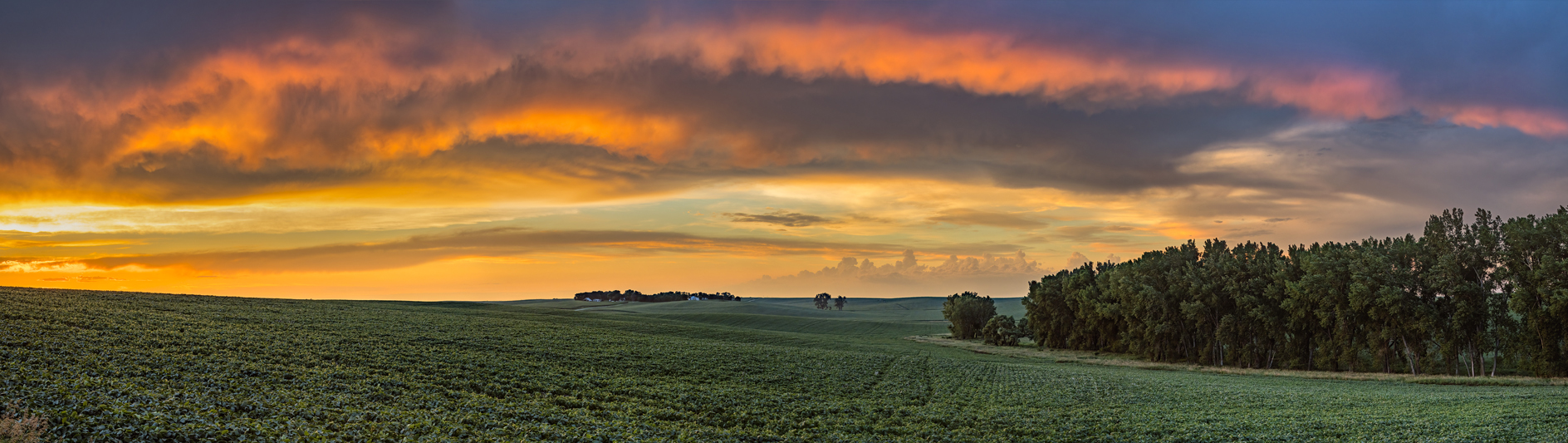 Dixon County Evening III