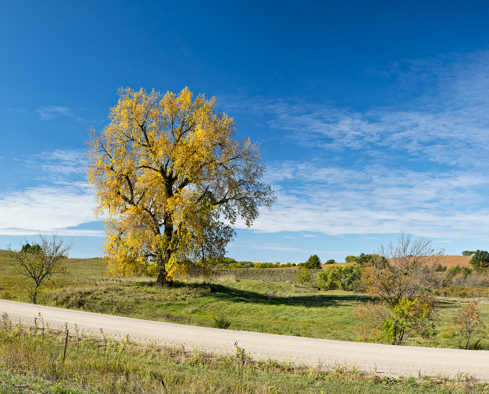 Dressed for the Season II