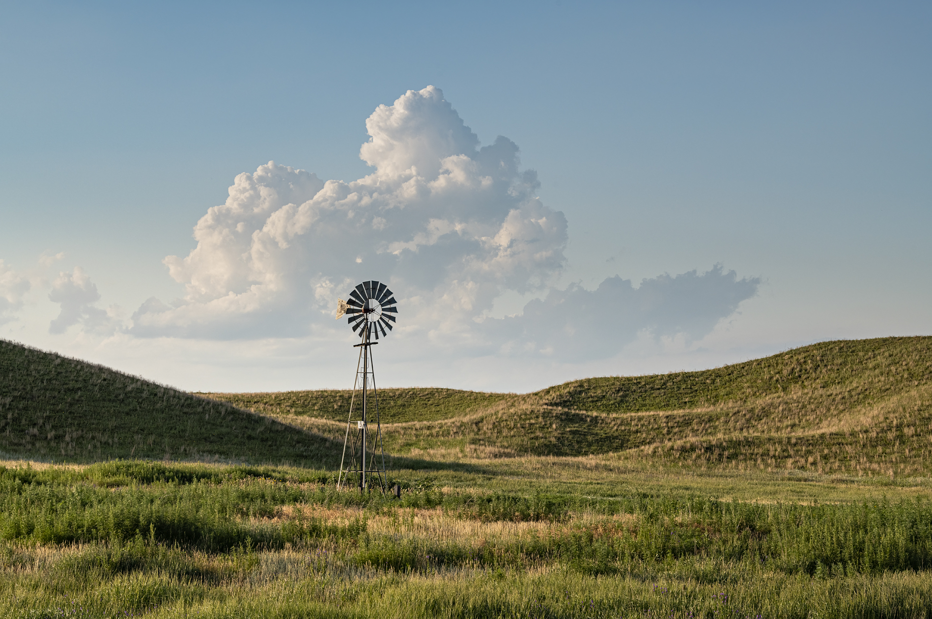 Drifting into Evening