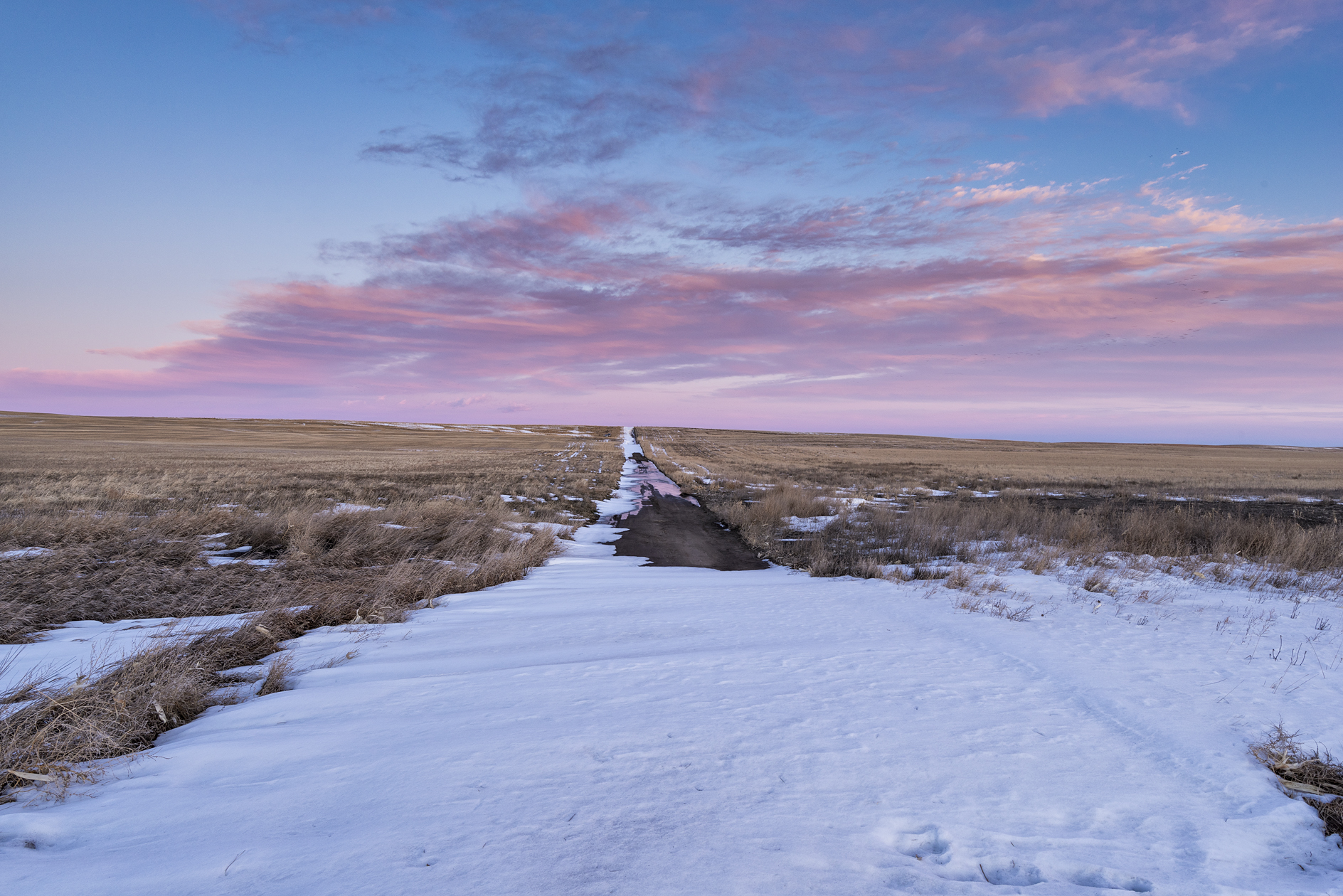 Drifting through Evening II