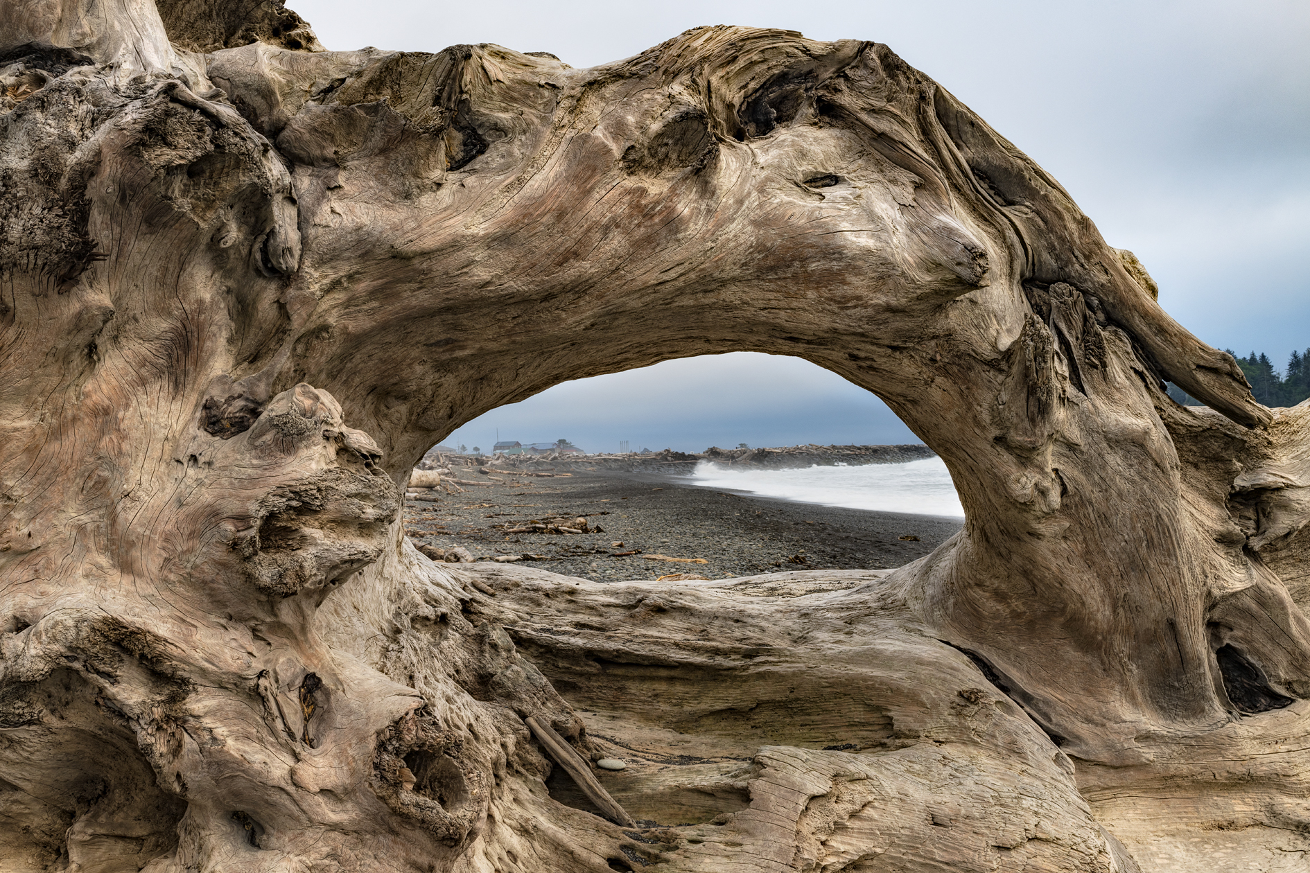 Driftwood Extravaganza IV