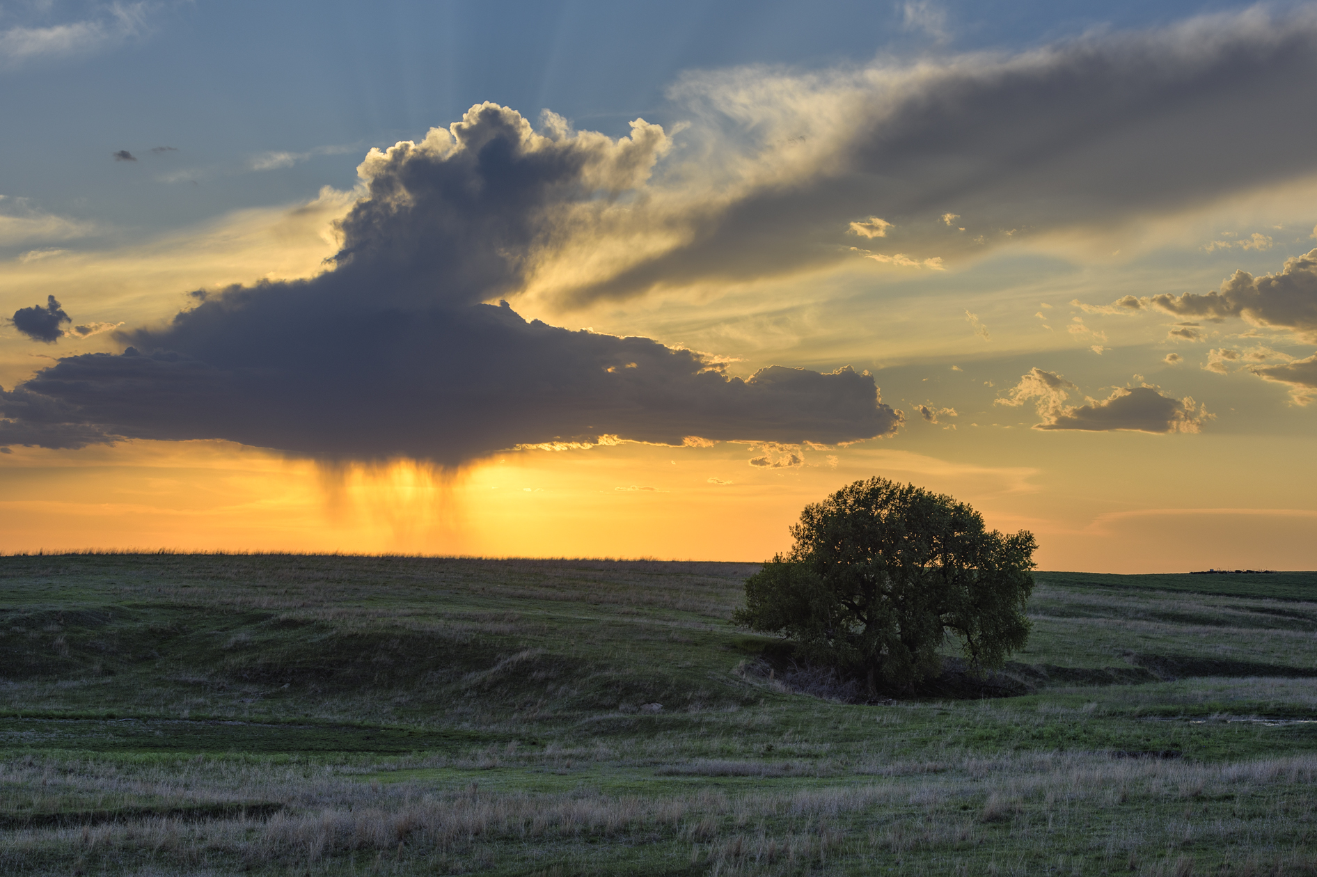 Dropping A Vague Hint