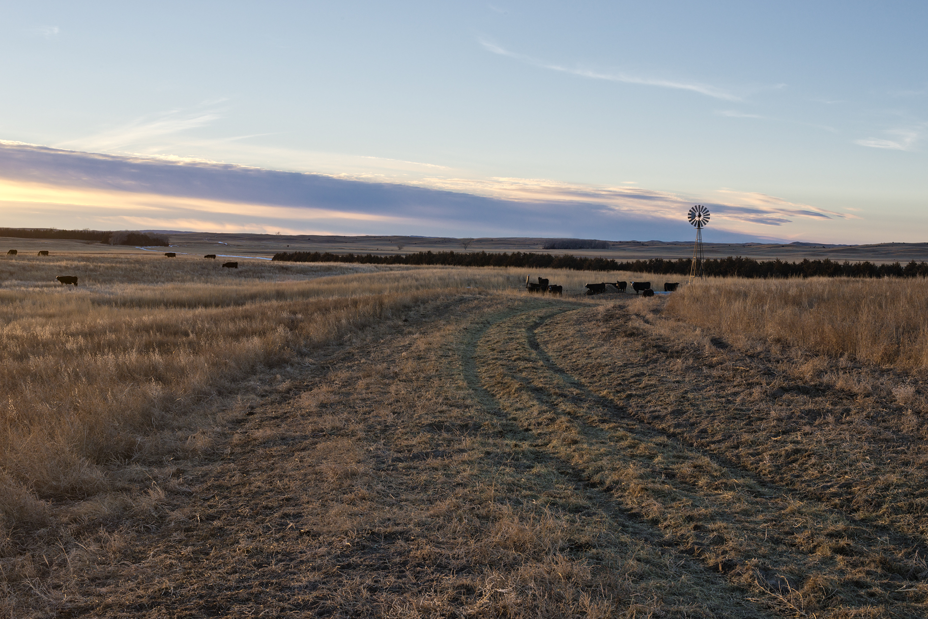 Early Evening at the Windmill